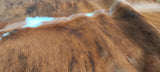 Light Brindle Tricolor Cowhide Rug , Size: Jumbo(XL), Code: AX99