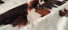 Tricolor Cowhide Rug , Size: X-Jumbo(XXL), Code: AX92