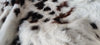Tricolor Cowhide Rug , Size: Large(L), Code: AX14