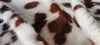 Tricolor Cowhide Rug , Size: Large(L), Code: AX09