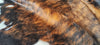 Tricolor Cowhide Rug , Size: Large(L), Code: AX149