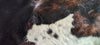 Exotic Tricolor Cowhide Rug , Size: Large(L), Code: AX135