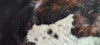Exotic Tricolor Cowhide Rug , Size: Large(L), Code: AX135