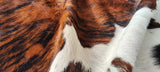 Tricolor Cowhide Rug , Size: Large(L), Code: AX110