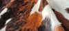 Tricolor Cowhide Rug , Size: Large(L), Code: AX110
