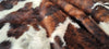 Exotic Tricolor Cowhide Rug , Size: Large(L), Code: AX107