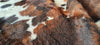 Exotic Tricolor Cowhide Rug , Size: Large(L), Code: AX107