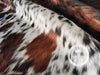 Exotic Tricolor Cowhide Rug , Size: X-Jumbo(XXL), Code: AW159