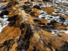 Exotic Tricolor Cowhide Rug , Size: Jumbo(XL), Code: AZ27