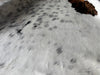 Exotic Tricolor Cowhide Rug , Size: Jumbo(XL), Code: AZ38
