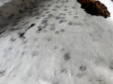 Exotic Tricolor Cowhide Rug , Size: Jumbo(XL), Code: AZ38