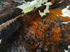 Tricolor Cowhide Rug , Size: X-Jumbo(XXL), Code: BN51