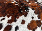 Exotic Tricolor Cowhide Rug , Size: X-Jumbo(XXL), Code: BN55