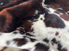 Tricolor Cowhide Rug , Size: Small(S), Code: BN64
