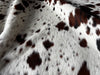 Exotic Tricolor Cowhide Rug , Size: Medium(M), Code: BN69