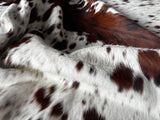 Exotic Tricolor Cowhide Rug , Size: Medium(M), Code: BN69