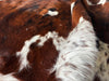 Tricolor Cowhide Rug , Size: Large(L), Code: BN77