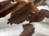 Exotic Tricolor Cowhide Rug , Size: X-Jumbo(XXL), Code: BN79