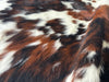 Exotic Tricolor Cowhide Rug , Size: Small(S), Code: BN89