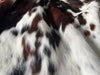 Exotic Tricolor Cowhide Rug , Size: Small(S), Code: BN89