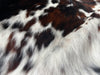 Exotic Tricolor Cowhide Rug , Size: Small(S), Code: BN89