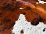 Exotic Tricolor Cowhide Rug , Size: Large(L), Code: BN100