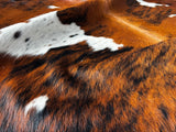 Exotic Tricolor Cowhide Rug , Size: Large(L), Code: BN100