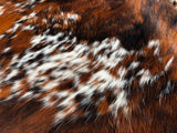 Exotic Tricolor Cowhide Rug , Size: Large(L), Code: BN103