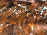 Exotic Tricolor Cowhide Rug , Size: Large(L), Code: BN103