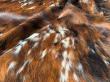 Exotic Tricolor Cowhide Rug , Size: Large(L), Code: BN103