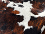 Tricolor Cowhide Rug , Size: Large(L), Code: BN110