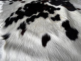 Tricolor Cowhide Rug , Size: X-Jumbo(XXL), Code: BR29