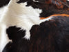 Tricolor Cowhide Rug , Size: X-Jumbo(XXL), Code: BR135