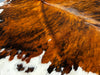 Tricolor Cowhide Rug , Size: X-Jumbo(XXL), Code: BR141