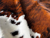 Tricolor Cowhide Rug , Size: X-Jumbo(XXL), Code: BR141