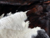 Tricolor Cowhide Rug , Size: Jumbo(XL), Code: BR152