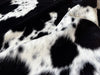 Tricolor Cowhide Rug , Size: Jumbo(XL), Code: BR166