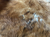 Light Brindle  Cowhide Rug , Size: Medium(M), Code: BR195
