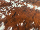 Exotic Tricolor Cowhide Rug , Size: Large(L), Code: DR04