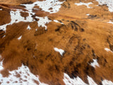 Exotic Tricolor Cowhide Rug , Size: Large(L), Code: DR12