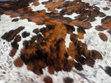 Exotic Tricolor Cowhide Rug , Size: Large(L), Code: DR14