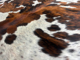 Exotic Tricolor Cowhide Rug , Size: Large(L), Code: DR14