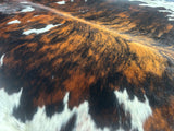 Exotic Tricolor Cowhide Rug , Size: Large(L), Code: DR15