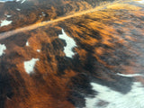 Exotic Tricolor Cowhide Rug , Size: Large(L), Code: DR15