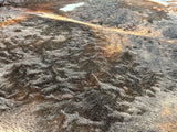 Exotic Tricolor Cowhide Rug , Size: Jumbo(XL), Code: DR19