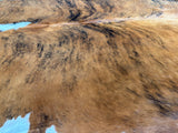 Tricolor Cowhide Rug , Size: Jumbo(XL), Code: DR25