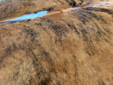 Tricolor Cowhide Rug , Size: Jumbo(XL), Code: DR25