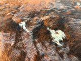 Dark Brindle Cowhide Rug , Size: Large(L), Code: DR29