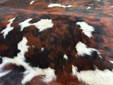 Tricolor Cowhide Rug , Size: Large(L), Code: DR35