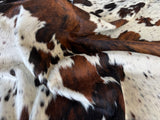 Exotic Tricolor Cowhide Rug , Size: Jumbo(XL), Code: DR37